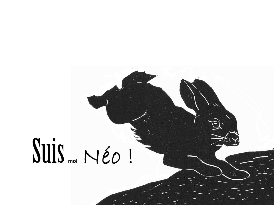 Maud L'ouvrier - Follow me Neo
